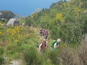 Wanderungen Ischia 